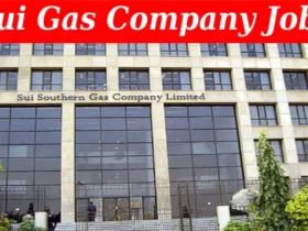 Sui Southern Gas Company Jobs - SSGC Jobs Online
